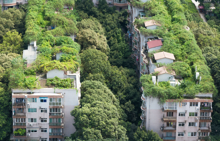 对于轻奢消费时代下楼层和户型哪个重要